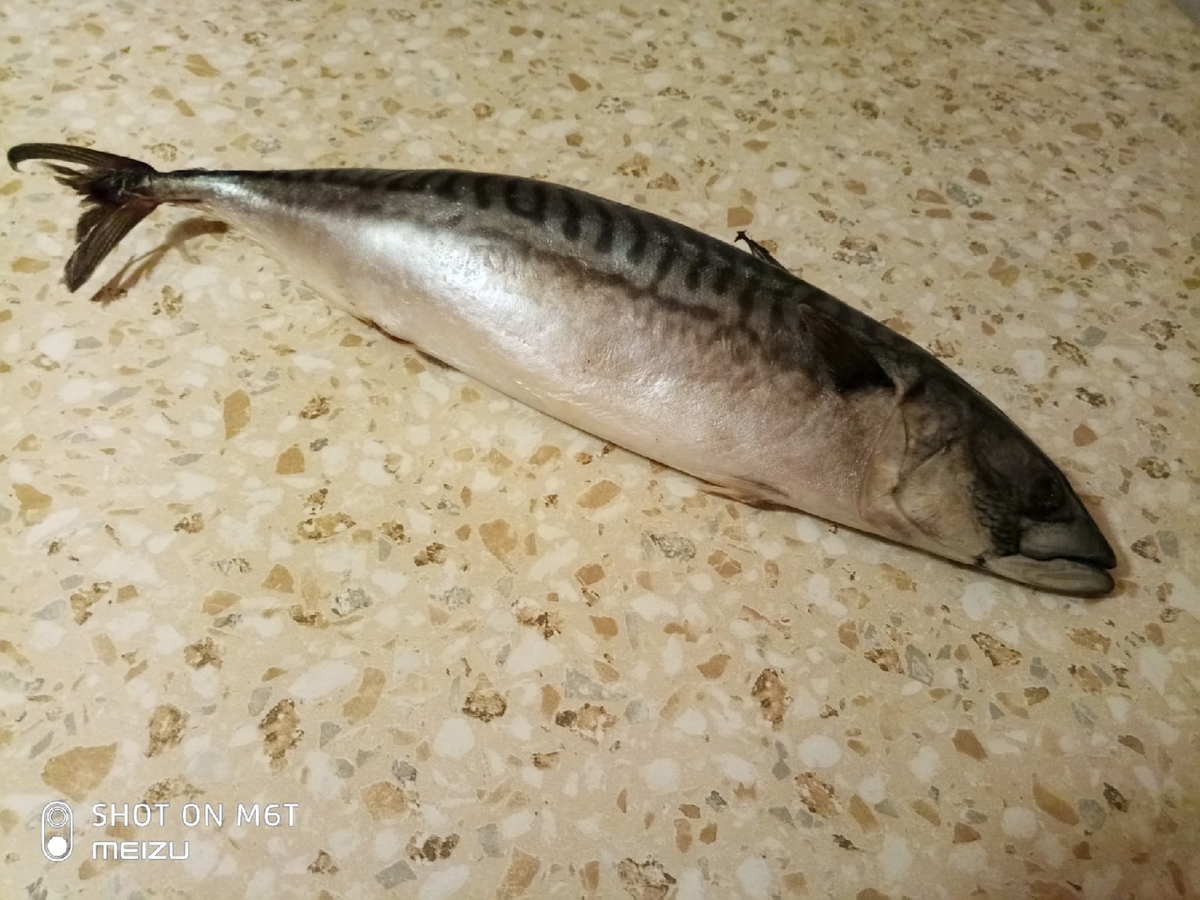 Автор - фото собственное