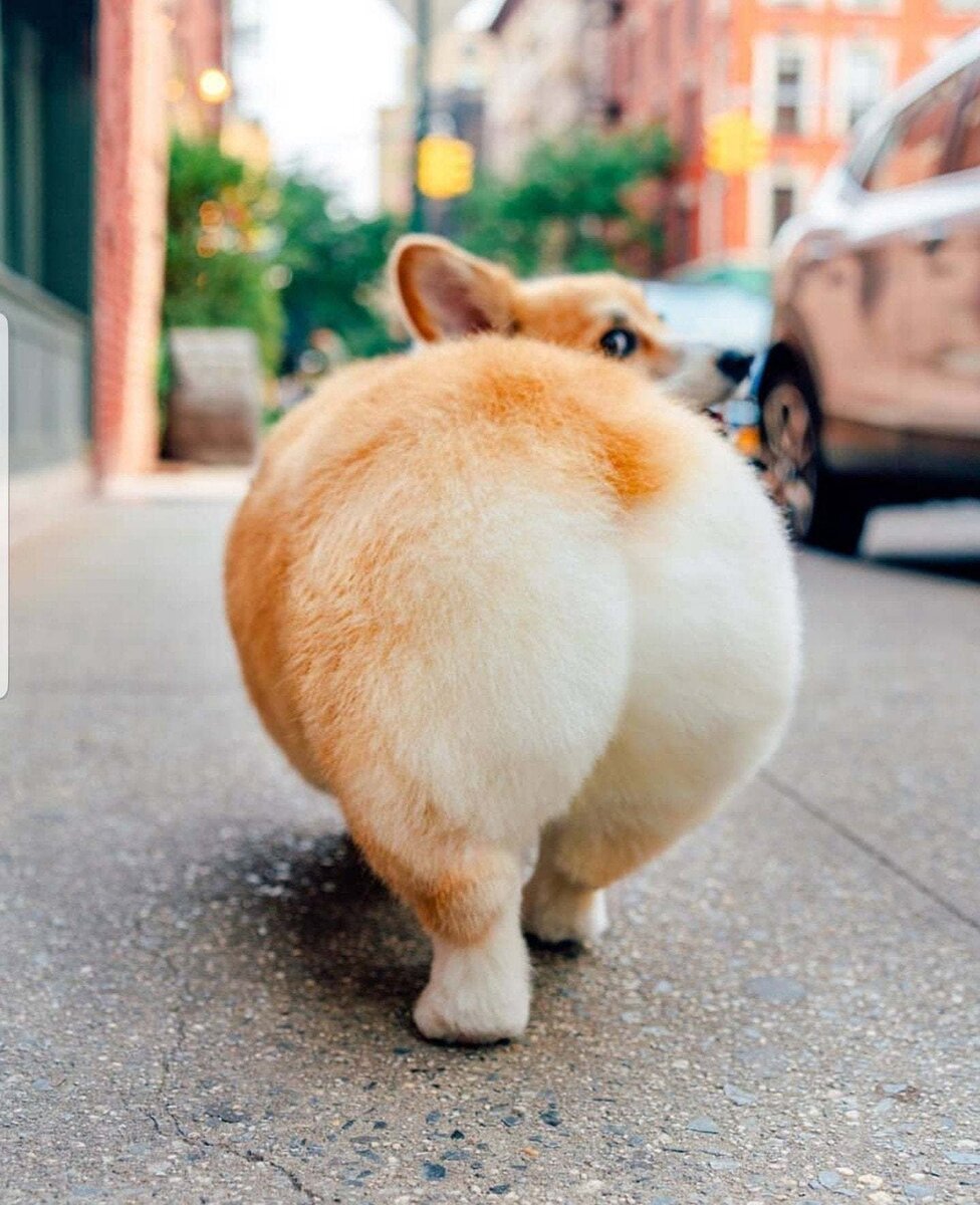 Всегда Ваша. Навсегда любима. Вечно на позитиве.