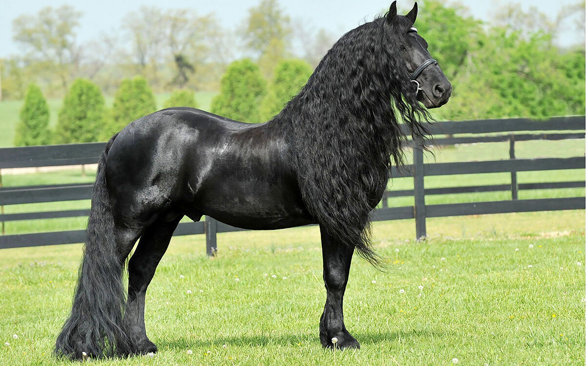 Фотографии с сервиса Яндекс Картинки