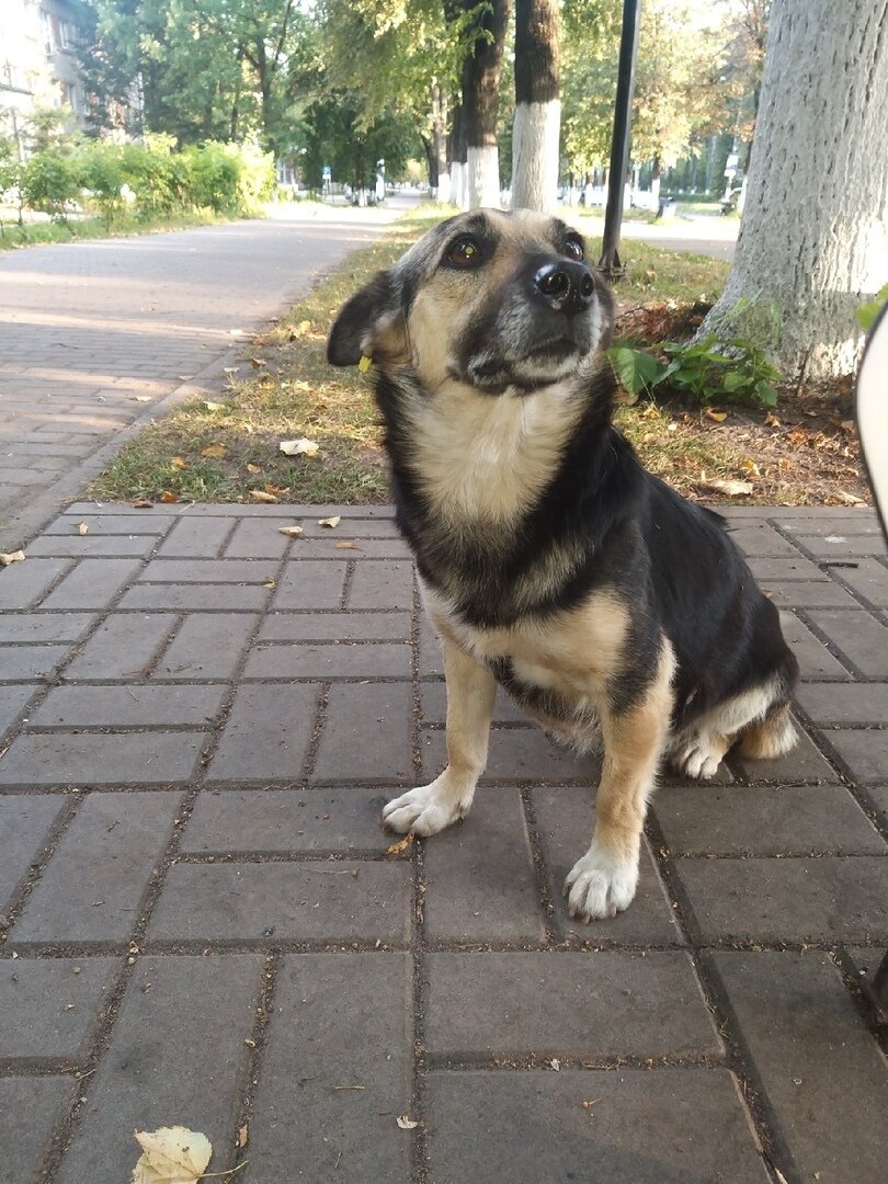 Листайте галерею, несколько фоток