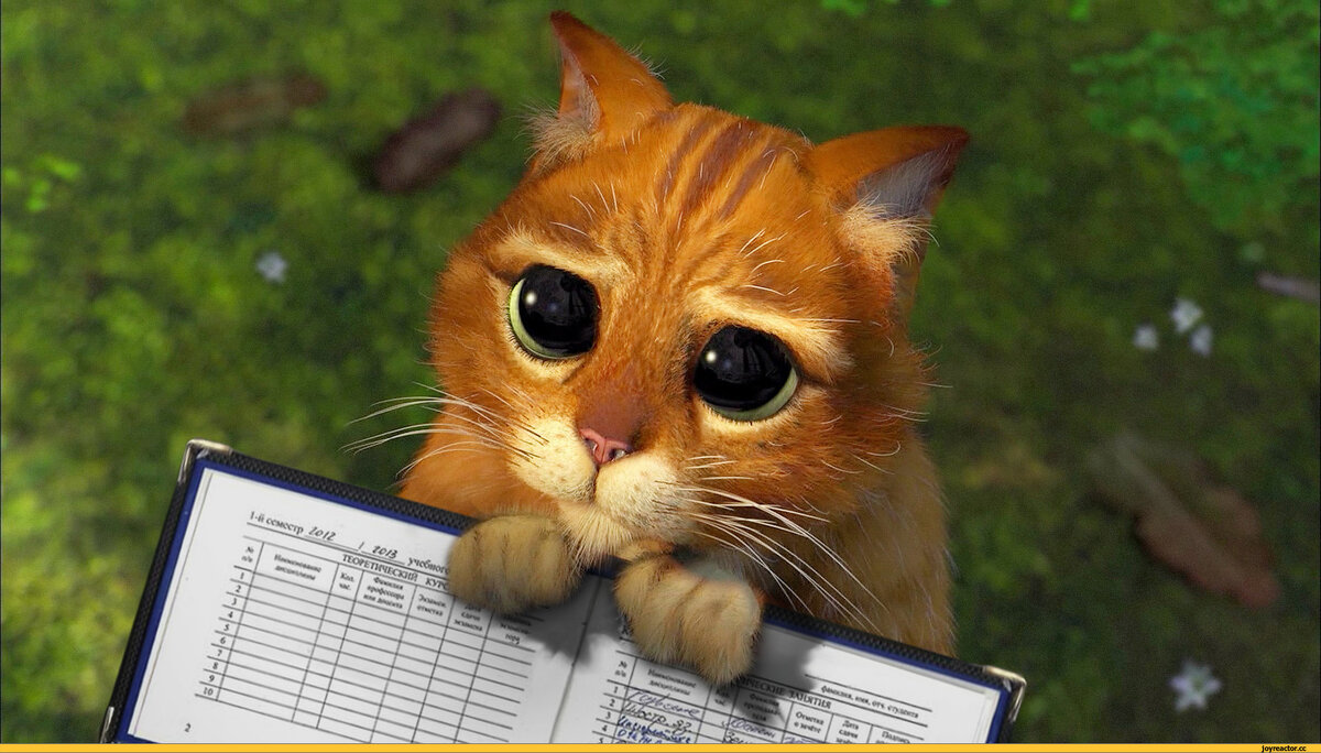 Студенты думают, что в такие моменты выглядят вот так. Но на самом деле ужасно бесят!