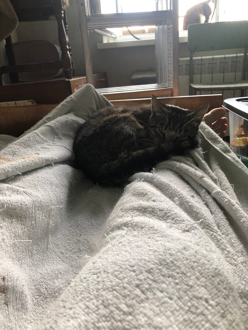 Первая ночь в новом доме