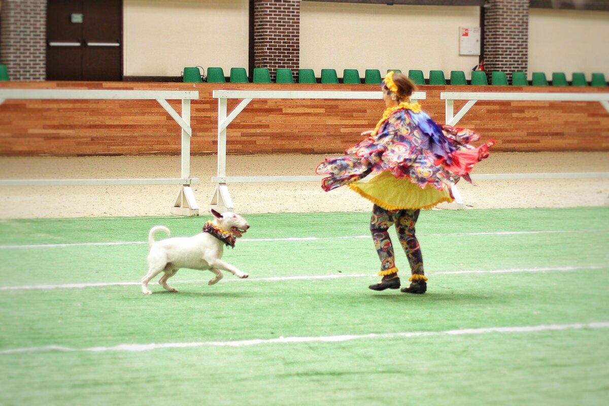 Наш танец - это движение! 