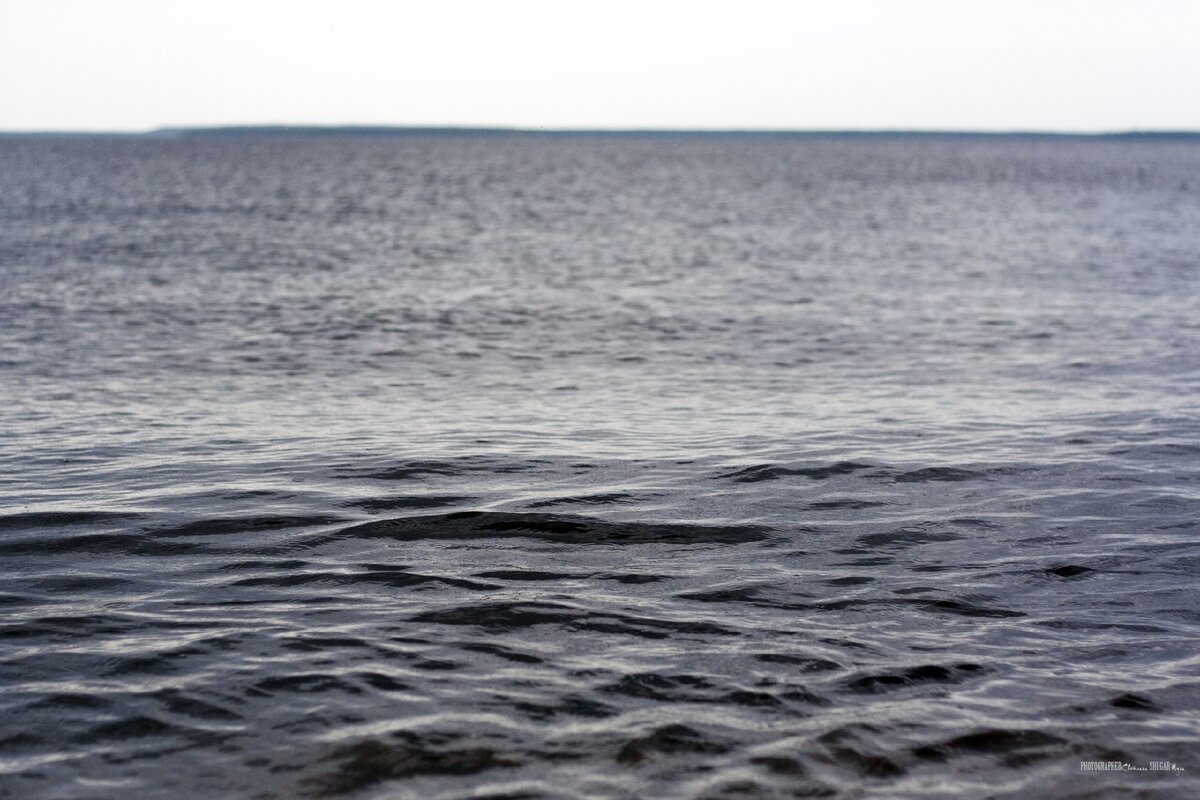 Берег ушедшего. Берег уходящий под воду. Водохранилище Васильсурск. Обои на рабочий стол 1600х900 Васильсурск.