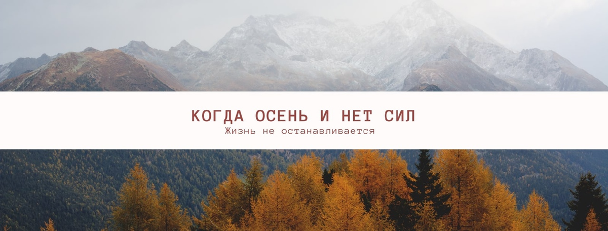 Когда осень и нет сил, жизнь не останавливается