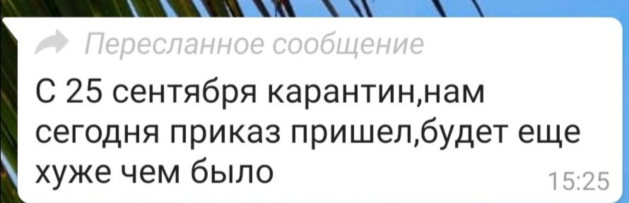 Будет ли еще хуже? Вернётся ли дистанционка и прошлые ограничения, или придумают новые?