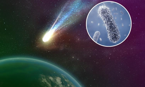 Данная теория теперь кажется не столь абсурдной, а космос уже не кажется мертвым