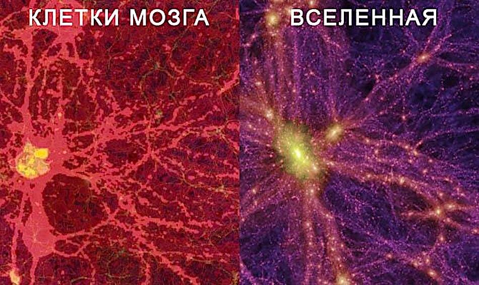 То, что с наружи, это увеличенная копия того, что внутри! 