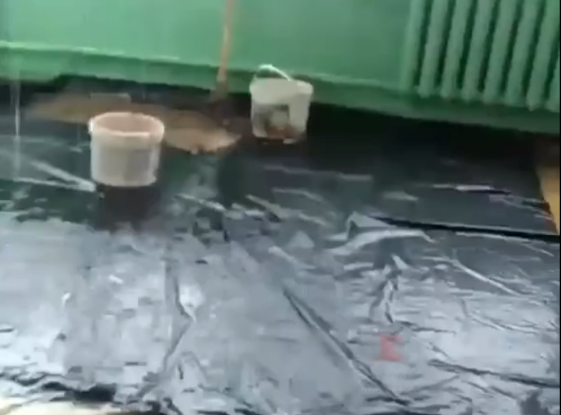 Фото гуляещее по пабликам Краснодара.