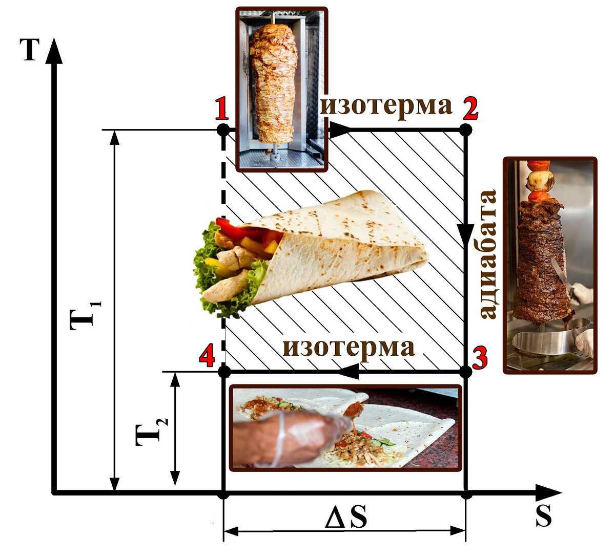 Графическое изображение цикла Карно в координатах температура-энтропия (T-S)