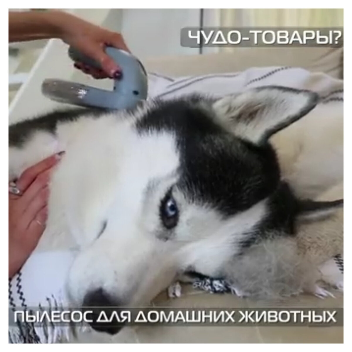 Картинка с использованием скриншота передачи "Чудо техники"