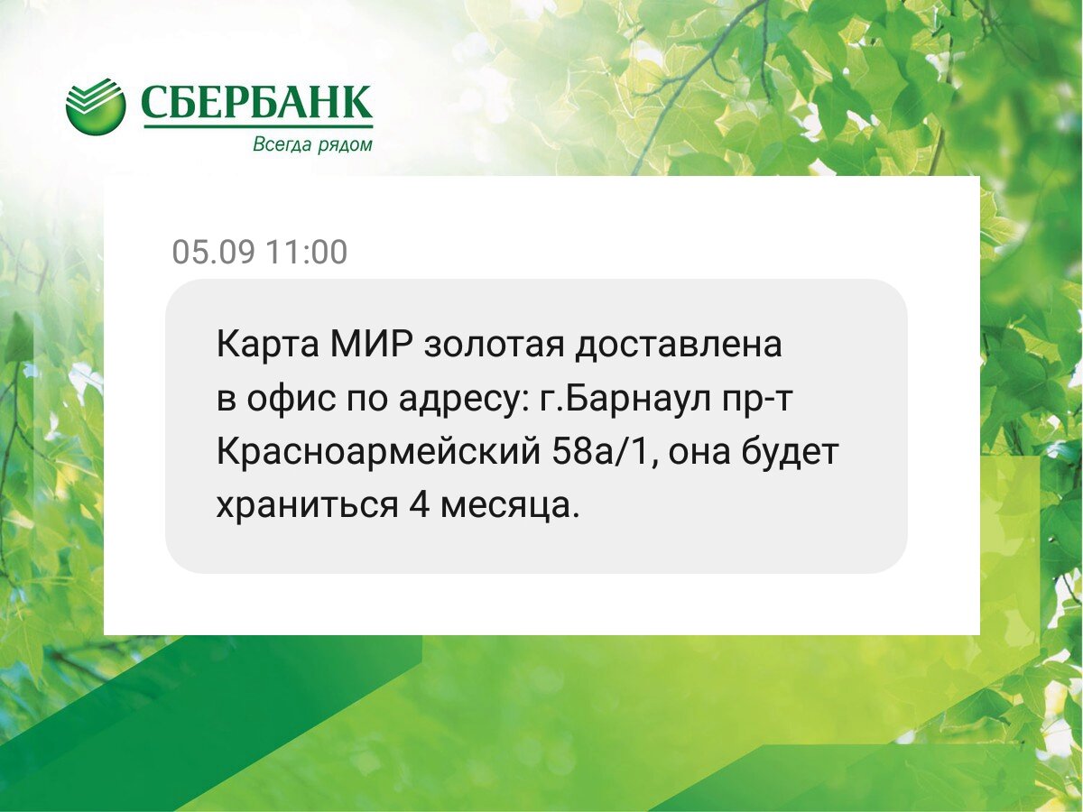 Неоднократно отказывался от золотой карты Сбербанка, но он всё равно её  выпустил | Sanches Trade | Дзен