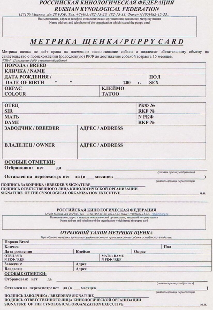 Метрика                                                                                                                                                                          https://pets-expert.ru/wp-content/uploads/2018/05/%D0%91%D0%B5%D0%B7-%D0%B8%D0%BC%D0%B5%D0%BD%D0%B8-1.jpg