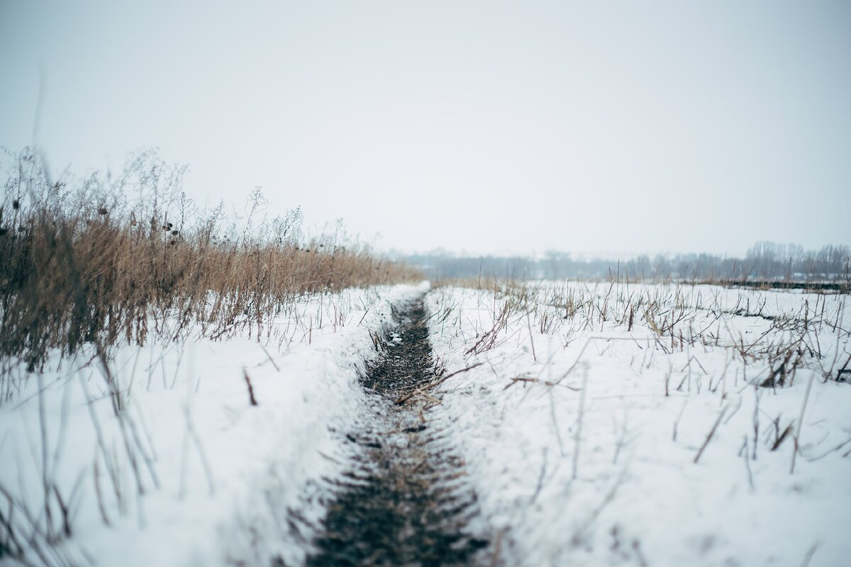 Дорога к танку