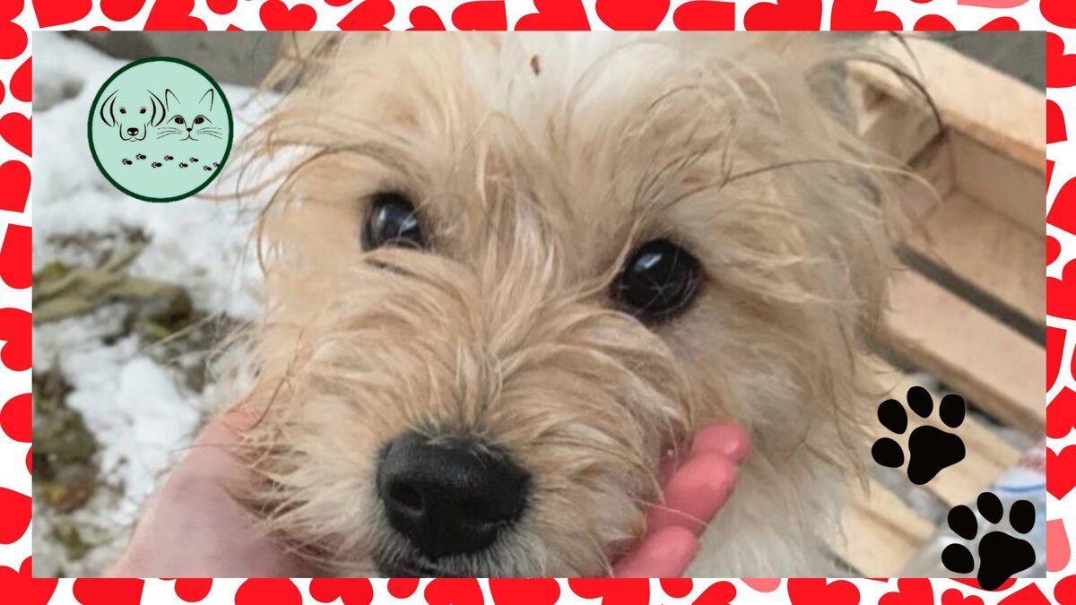 Ставьте лайки, подписывайтесь на канал