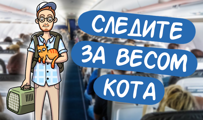 Коллаж: Николай Пекарский / отдых.today