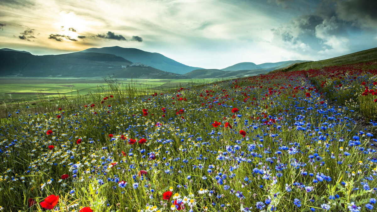 Фото с сайта galactikka.com