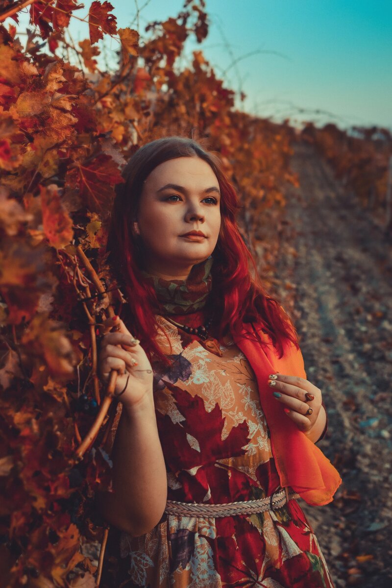 На коктебельских виноградниках. 