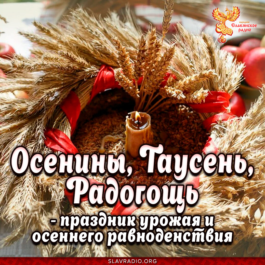 Осенины, Таусень, Радогощь — праздник урожая и осеннего равноденствия |  Константин | Дзен