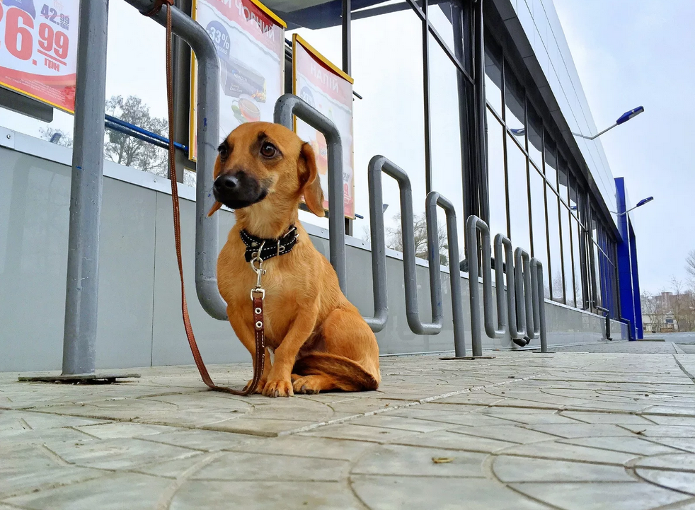 Источник: yandex.ru