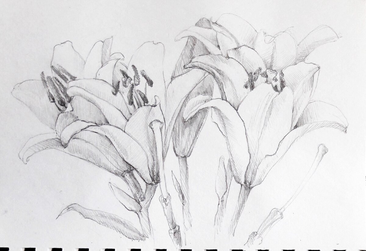 Простой карандаш 2019 г.