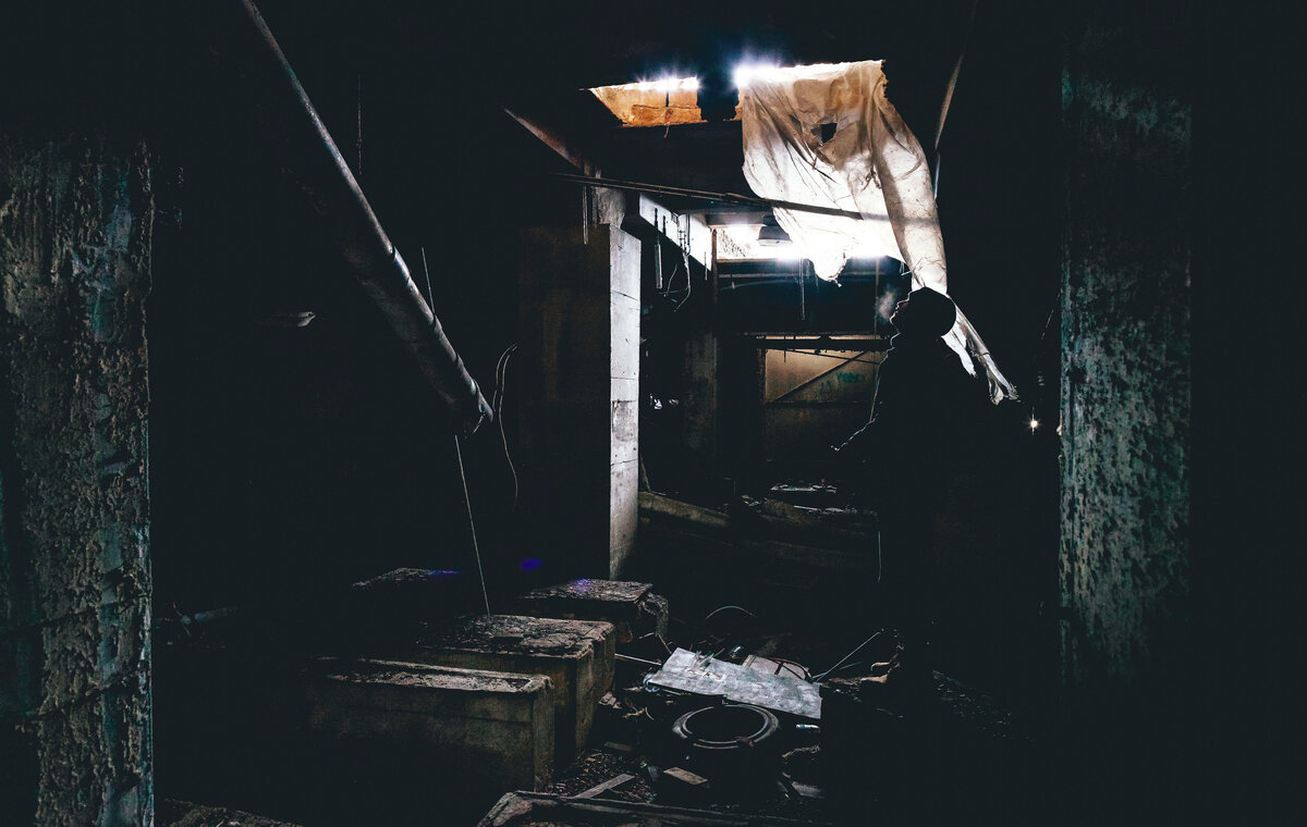 "Богатые тоже зомби 2: замкадыши", Екатерина Широкова. Фото Уильяма Топа на Unsplash