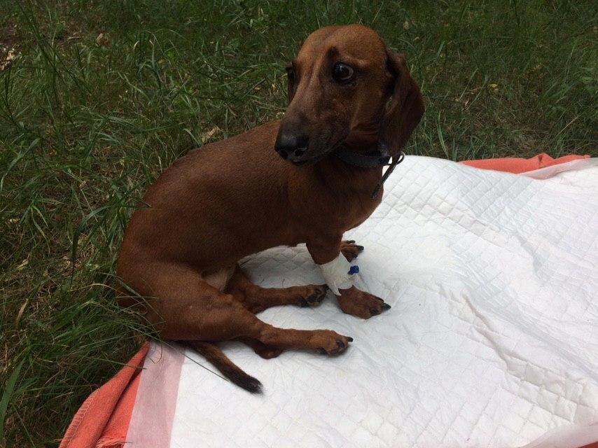 Перед процедурой КТ