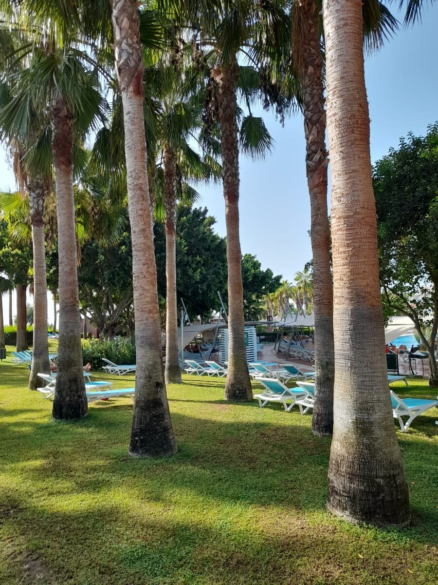 фото из личного архива