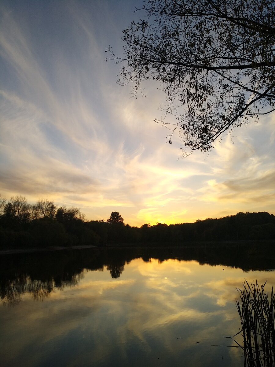 Будьте Здоровы и в гармонии с самим собой!