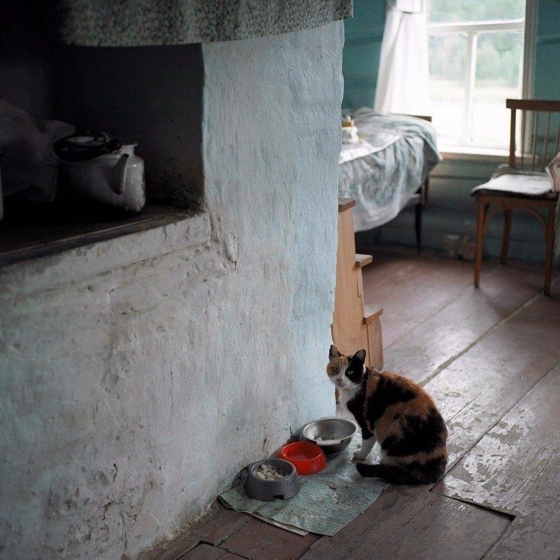 фото использовано в качестве иллюстрации. Источник "Яндекс.Картинки"