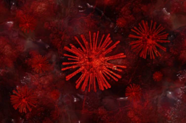 Коронавирус. Фото: https://pixabay.com