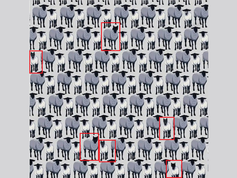 Ответ на этот тест