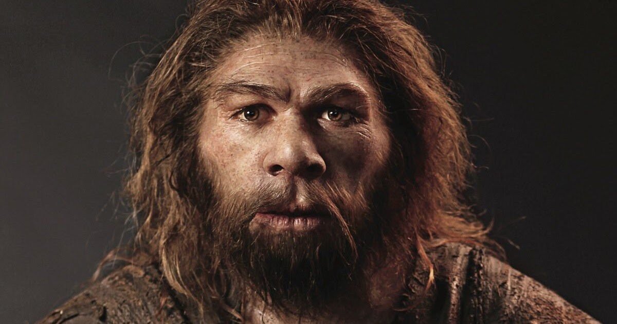 homo neanderthalensis (Европа и Западная Азия, 400-30 тысяч лет назад)