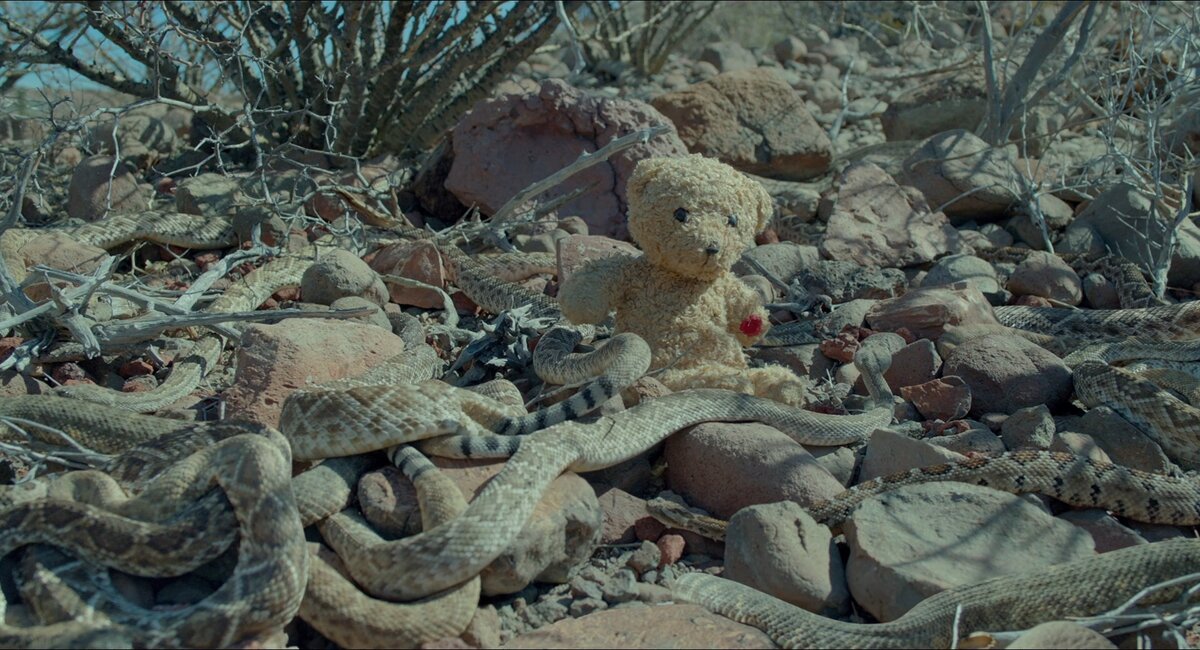 Desierto