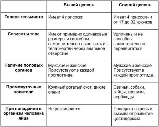 Свиной цепень - диагностика и лечение в Киеве