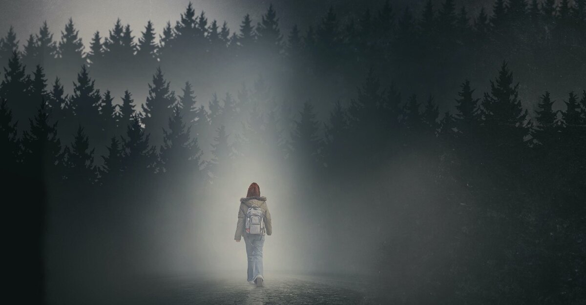 poster to "La ragazza nella nebbia"/2017/dir.by/Donato Carrisi/Colorado Film Production, Medusa Film, Gavila/Источник - justwatch.com