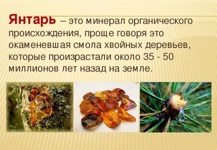 Янтарь проект по окружающему миру