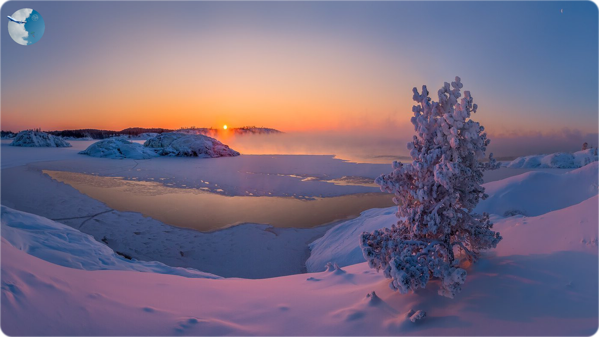 Фото из интернета