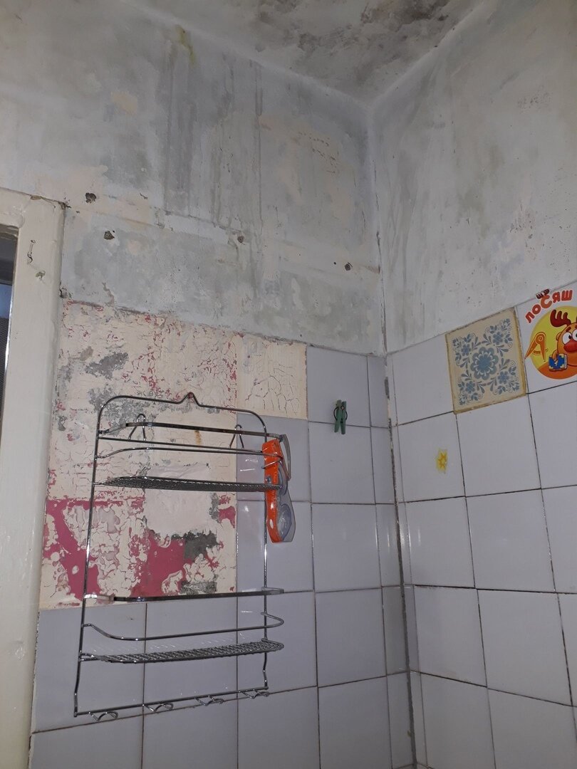 фото: https://vk.com/wall-86362951_343374