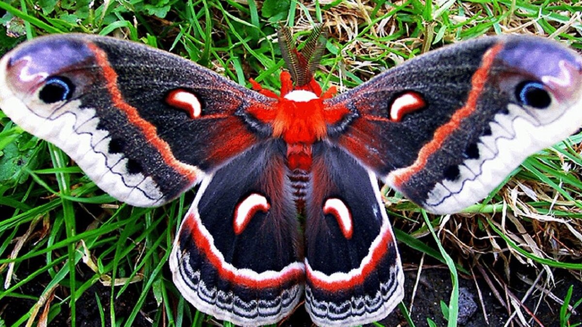 Не пойму:  толи красиво, толи нет.