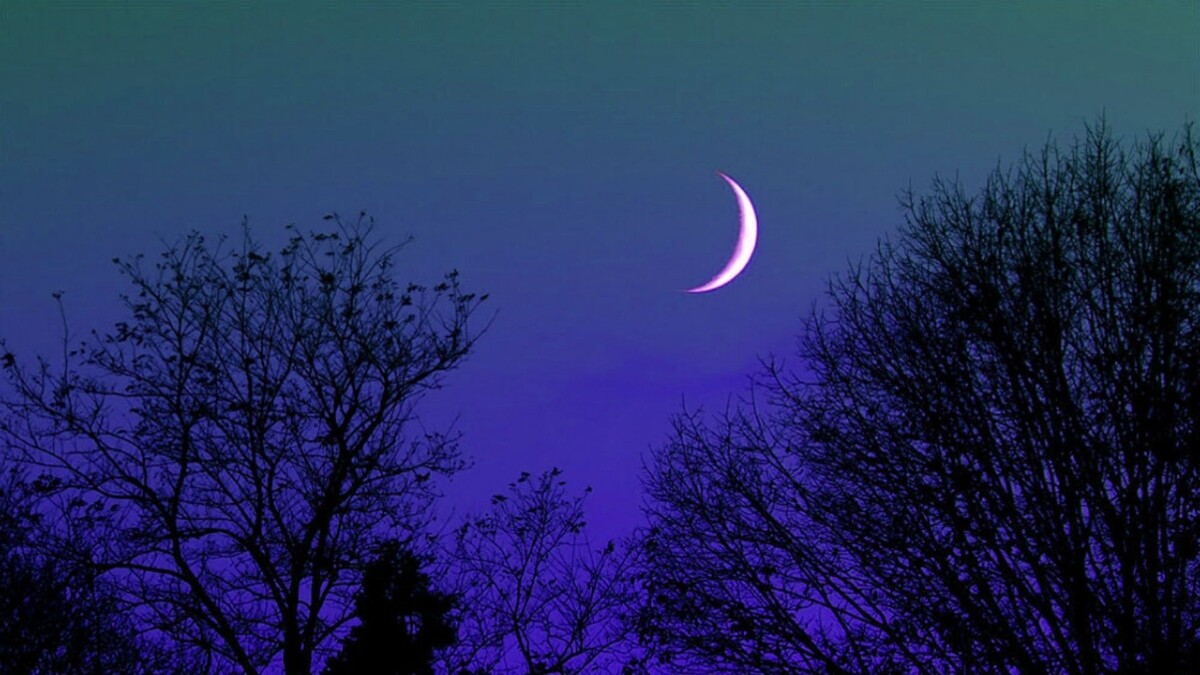 Фото: yаndеx*ru