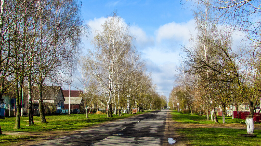 Новые Тимковичи, агрогородок.  Фотографии  из Photo Planet . 2-парк на месте маентка,  старый костел и речка Мажа.