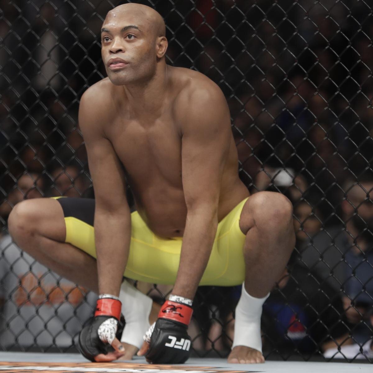 Фото Андерсона Сильвы скачена с яндекс картинки.