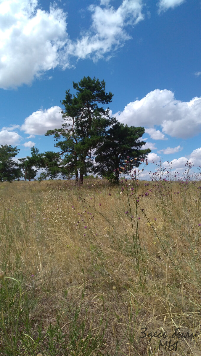 Пейзаж на горе