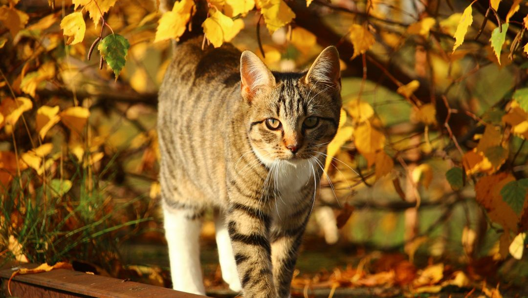 Это было удивительно.