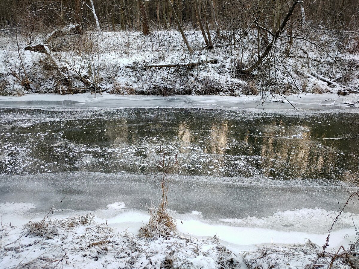 Река в одном месте замёрзла как зеркало: деревья отражаются