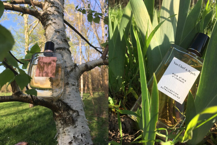 Dear Rose La Favorite. Van Cleef & Arpels Bois D’Iris