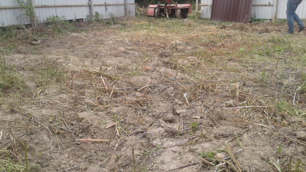 Участок перед началом работ.