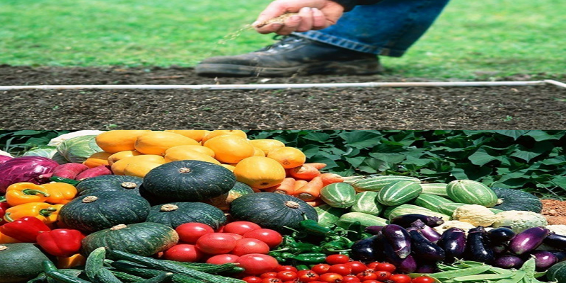 Действие приводящее к результатам