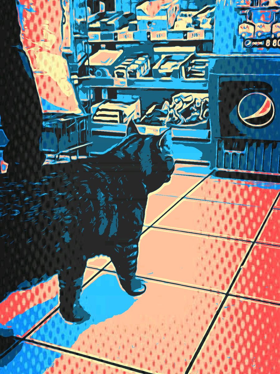 Ночной сторож Борис